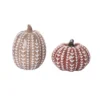 Transpac Set Of 2 Whitewashed Resin Pumpkins Fall Harvest Home Decor Autumn Thanksgiving Decorative Objects -Interior furniture GUEST 080d4409 e532 4e8f b20a c78ae1709b11