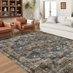 Coucheta Area Rug, Vintage Carpet, Washable Rugs For Living Room, Low Pile Farmhouse Front Door Mat With Non Slip Backing -Interior furniture GUEST 2134835c e56c 4d6b 89ed 6802415659a5