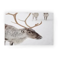 Henrike Schenk Travel Photography Reindeer With Antlers Art Print Tromso Norway Animal Snow Photo Welcome Mat - Society6 -Interior furniture GUEST 3ae5afca 8840 4ce4 8a57 16634c724e3e