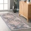 NuLOOM Addison Transitional Faded Medallion Fringe Area Rug -Interior furniture GUEST 40d74aff 3b8f 4bc3 aa77 49a1b42408e0