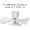 TALOYA 22 In. Indoor White Small Ceiling Fan With Light And Remote, Reversible DC Motor And Blades -Interior furniture GUEST 462904b8 b476 4c33 bdd3 4dd568528926