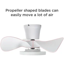 TALOYA 22 In. Indoor White Small Ceiling Fan With Light And Remote, Reversible DC Motor And Blades