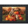 Briarwood Lane Fall Kittens Pumpkins Doormat Apple Basket Autumn Indoor / Outdoor 30" X 18" -Interior furniture GUEST 52395d87 ed42 4164 a308 b2475443b5a2