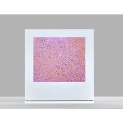 9" LED Glitter Light Box Silver - Adesso: Modern Novelty Lamp, ETL Listed, Rechargeable With USB & Battery Power -Interior furniture GUEST 5c37dffb 756a 4265 9dca c5a06529c8e6