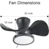 TALOYA 22 In. Indoor Black Small Ceiling Fan With Light And Remote, Reversible DC Motor And Blades -Interior furniture GUEST 95beb22d 9f54 4820 a883 b7be1636c987