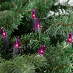 Northlight Mini Incandescent Christmas Lights - Purple - 20.25' Black Wire - 100ct -Interior furniture GUEST 960f5e27 7d25 4e02 8b8c 06f479f4b360 1