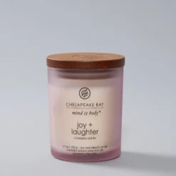 Glass Jar Candle Cranberry Dahlia - Chesapeake Bay Candle -Interior furniture GUEST bd3dbf44 f1aa 4092 affc 755e5e876cf6