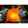 Elephant Salt Lamp Pink - Q&A Himalayan Salt: Hand-Carved, Therapeutic Glow, Wood Base -Interior furniture GUEST d437328c f94e 40e9 971e f4df78137739
