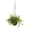 Nearly Natural 9-in Ruscus, Sedum & Springeri Hanging Basket (Set Of 3) -Interior furniture GUEST d5ed193e 43e5 4f0a b314 e737f0271411