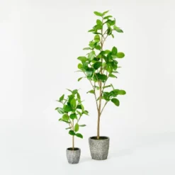 Banyan Leaf Potted Tree - Threshold™ Designed With Studio McGee -Interior furniture GUEST e0836b00 df5f 43ba bf4c e16aa35005ea