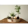Paulownia Wood Hand-Carved Tray - Storied Home -Interior furniture GUEST e6d6e8ac 5568 4e5a 91b6 ee31e8abe702