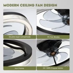 Ludomide 20" Black Low Profile Ceiling Fan With Light And Remote Control, Flush Mount Fandelier Ceiling Fan 6 Wind Speeds 3 Color Changeable -Interior furniture GUEST eb3d1f92 2db4 4ccf b60a baec0f8d6e22