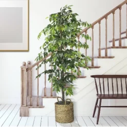 72" Artificial Ficus Tree In Basket - LCG Florals -Interior furniture GUEST ec43ff0d a5fb 4543 bfa1 1694238142d9